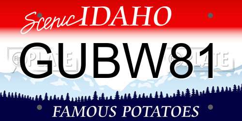 GUBW81 Idaho License Plate
