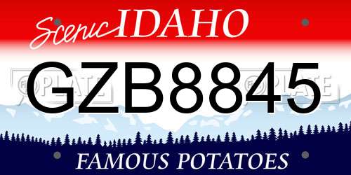 GZB8845 Idaho License Plate