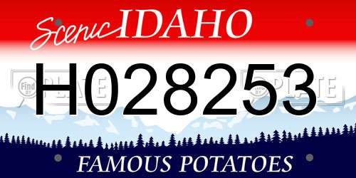 H028253 Idaho License Plate