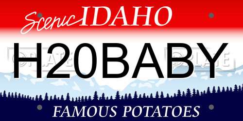 H20BABY Idaho License Plate