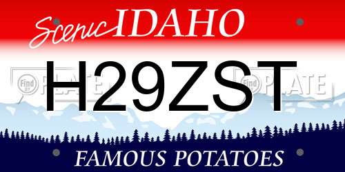 H29ZST Idaho License Plate