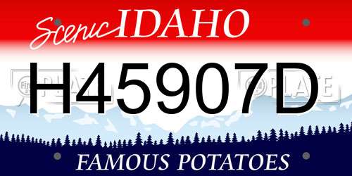 H45907D Idaho License Plate