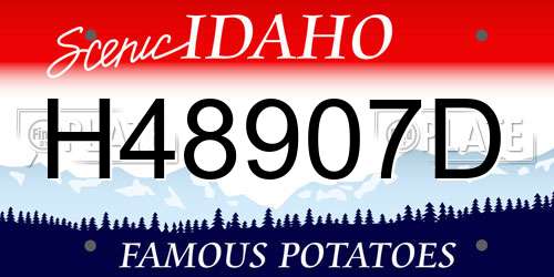 H48907D Idaho License Plate