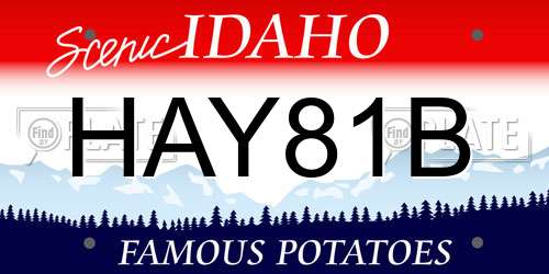 HAY81B Idaho License Plate