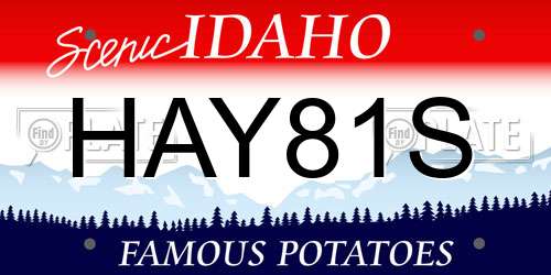 HAY81S Idaho License Plate