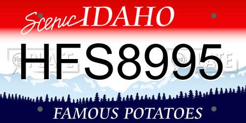 HFS8995 Idaho License Plate