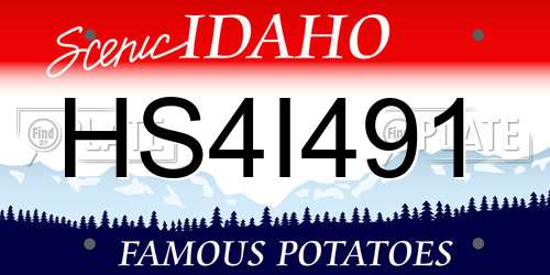 HS4I491 Idaho License Plate