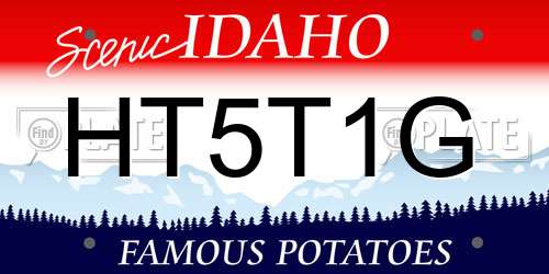 HT5T1G Idaho License Plate