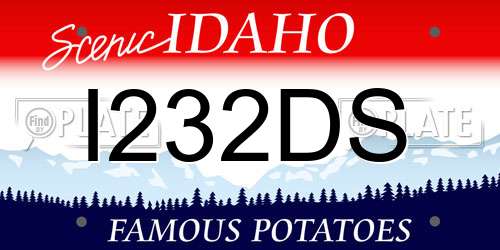 I232DS Idaho License Plate