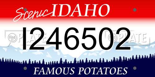 I246502 Idaho License Plate