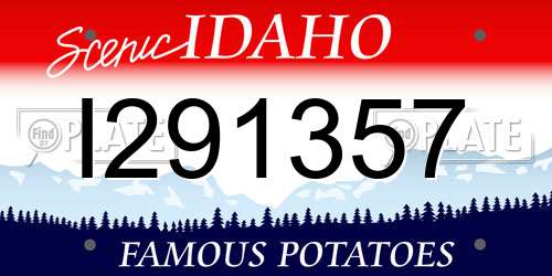 I291357 Idaho License Plate