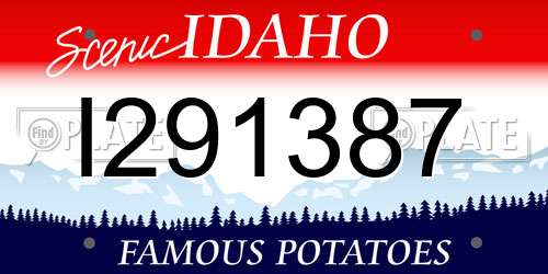 I291387 Idaho License Plate