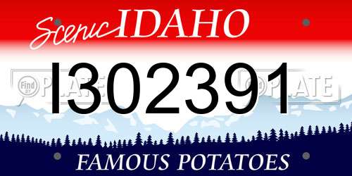 I302391 Idaho License Plate