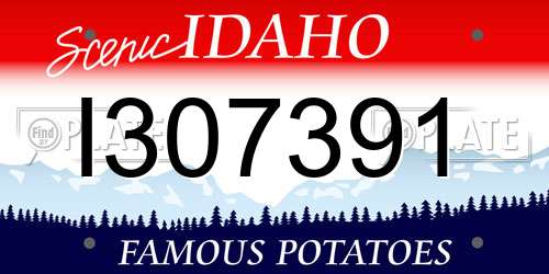 I307391 Idaho License Plate