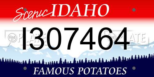 I307464 Idaho License Plate