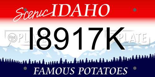 I8917K Idaho License Plate