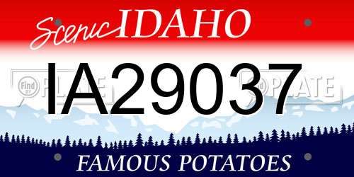 IA29037 Idaho License Plate