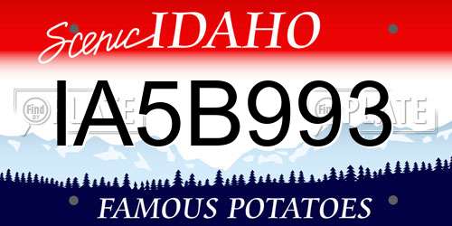 IA5B993 Idaho License Plate