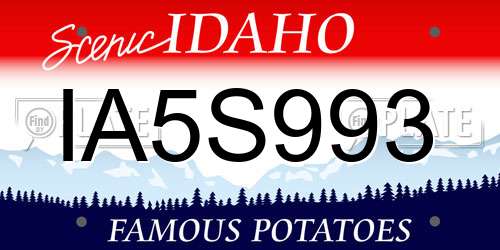IA5S993 Idaho License Plate