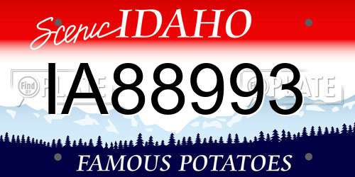 IA88993 Idaho License Plate