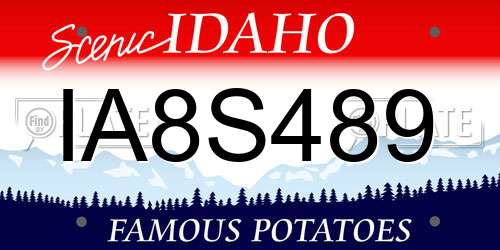IA8S489 Idaho License Plate