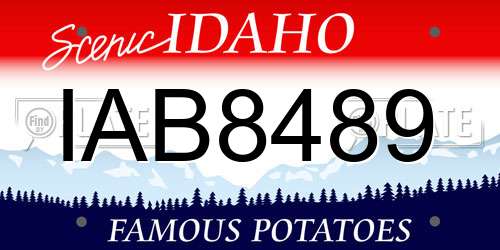 IAB8489 Idaho License Plate