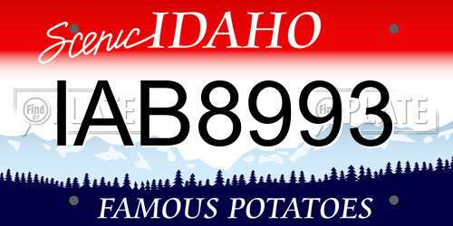 IAB8993 Idaho License Plate