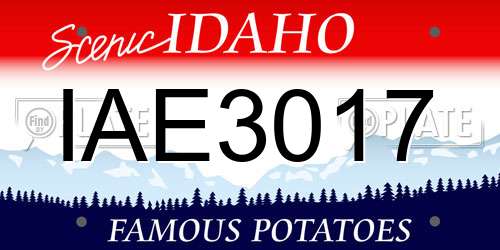 IAE3017 Idaho License Plate