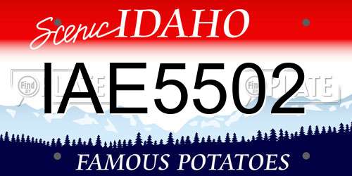IAE5502 Idaho License Plate