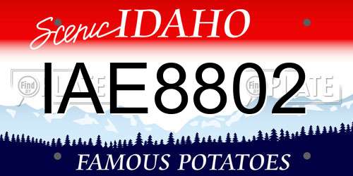 IAE8802 Idaho License Plate