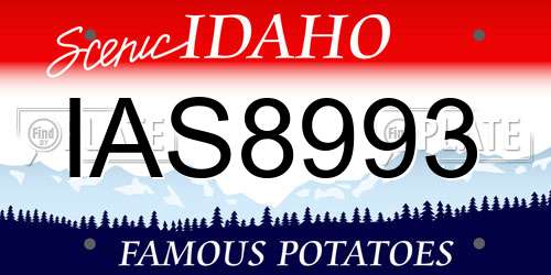 IAS8993 Idaho License Plate