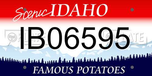 IB06595 Idaho License Plate