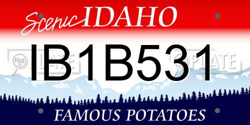 IB1B531 Idaho License Plate
