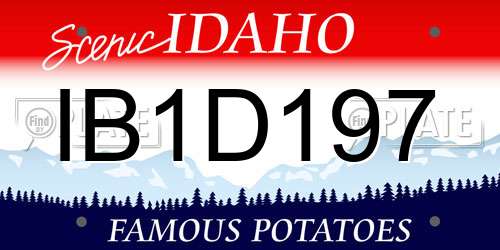 IB1D197 Idaho License Plate