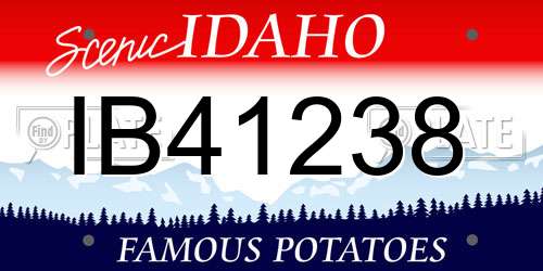 IB41238 Idaho License Plate