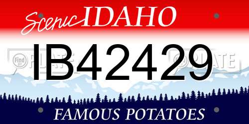 IB42429 Idaho License Plate