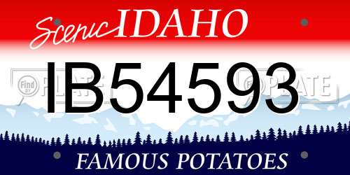 IB54593 Idaho License Plate