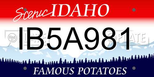IB5A981 Idaho License Plate
