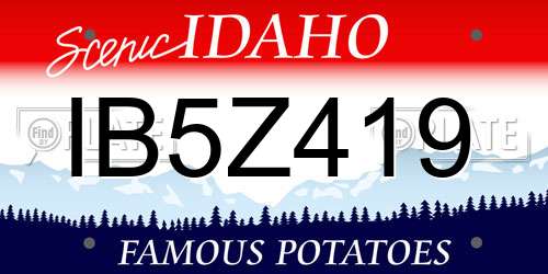 IB5Z419 Idaho License Plate