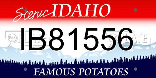 IB81556 Idaho License Plate