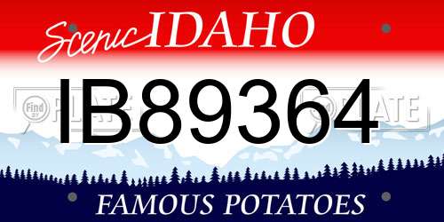 IB89364 Idaho License Plate
