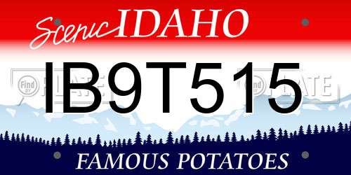 IB9T515 Idaho License Plate