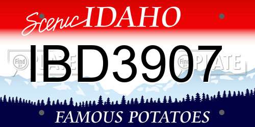 IBD3907 Idaho License Plate