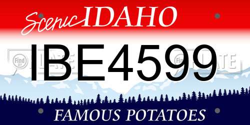 IBE4599 Idaho License Plate
