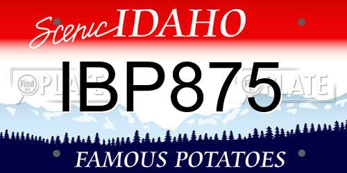 IBP875 Idaho License Plate