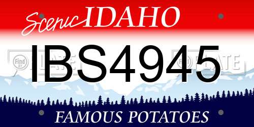 IBS4945 Idaho License Plate