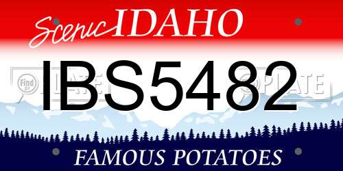IBS5482 Idaho License Plate