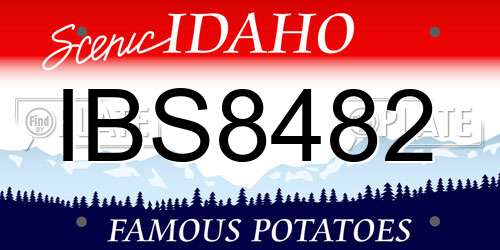 IBS8482 Idaho License Plate
