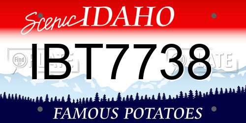 IBT7738 Idaho License Plate
