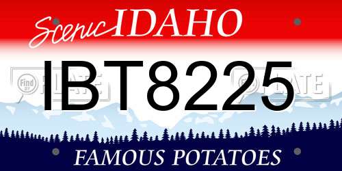 IBT8225 Idaho License Plate